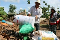 Nông sản dị thường thương lái TQ quyết mua ở VN