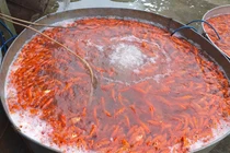 Thương lái kiếm bộn từ cá chép cúng ông Công, ông Táo