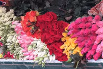 Giá hoa tươi tăng "nóng" trước dịp lễ Valentine 2017