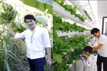 "Đột nhập" vào vườn rau xanh mướt mắt của sao nam Việt 