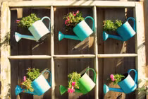 Gợi ý trang trí nhà thêm ấn tượng với cửa sổ cũ