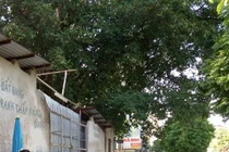 Xôn xao kỷ lục giá đất đắt không tưởng ở Hà Nội: 4 tỷ/m2