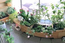 Trang trí ban công đẹp mê mẩn với những chậu hoa nhỏ xinh