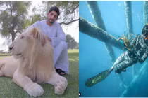 Cuộc sống xa xỉ đến điên cuồng của hoàng tử Dubai 