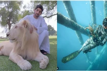 Cuộc sống xa xỉ đến điên cuồng của hoàng tử Dubai 