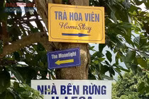 Điểm danh loạt khu nghỉ dưỡng "băm nát" rừng phòng hộ gây sốc