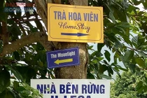 Điểm danh loạt khu nghỉ dưỡng "băm nát" rừng phòng hộ gây sốc