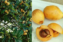 Sự thật gây "choáng" về những loại quả siêu đắt ở Việt Nam