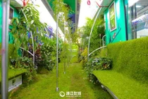 Ngắm tàu điện ngầm phủ cây xanh mát mắt ở Trung Quốc