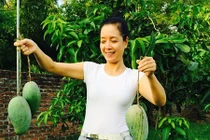 Mát mắt ngắm vườn cây trái trĩu quả của nghệ sĩ Chiều Xuân