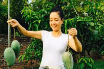 Mát mắt ngắm vườn cây trái trĩu quả của nghệ sĩ Chiều Xuân