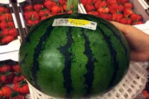 Dưa hấu Nhật 1,7 triệu/quả: Đắt khủng khiếp vẫn tranh mua
