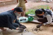 Những lần khốn đốn vì sinh vật lạ được nuôi ở Việt Nam