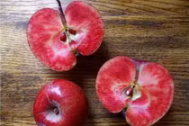 Những giống rau củ lai độc lạ nhất định phải thử một lần