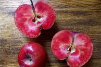 Những giống rau củ lai độc lạ nhất định phải thử một lần