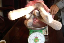 Nông dân Việt kiếm lời khủng từ chăn nuôi gia súc, gia cầm 