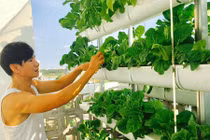 Những vườn rau thủy canh "khủng" trên sân thượng nhà sao Việt