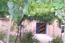 Trang trí cổng nhà bằng dàn cây rau quả siêu độc lạ