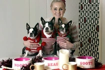 Chi hàng trăm triệu sắm đồ Giáng sinh hoành tráng cho thú cưng