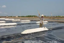 Thông tin muối sản xuất theo phương pháp trải bạt gây ung thư là sai