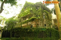 Loạt biệt thự Linh Đàm bị dây leo "nuốt chửng"