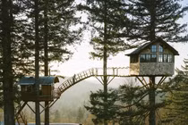 Ngôi nhà trên cây đặc biệt leo bằng cầu thang dây