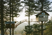 Ngôi nhà trên cây đặc biệt leo bằng cầu thang dây
