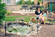 Đắm chìm trong khu vườn ngập hoa của mẹ Việt tại Mỹ