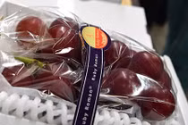 Choáng váng nho "nhà giàu" giá 245 triệu đồng/chùm