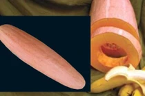 Chị em phát sốt với bí ngô hồng hình chuối siêu độc 