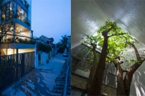 Báo Mỹ khen hết lời nhà tầng thiết kế cây xuyên ở Vinh