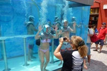 Quán bar dưới nước độc nhất thế giới