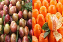 Những loại quả dễ bị tẩm hóa chất nhất mùa hè