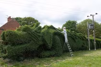 Những hàng rào dị nhất thế giới, ai thấy cũng ngạc nhiên