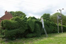 Những hàng rào dị nhất thế giới, ai thấy cũng ngạc nhiên