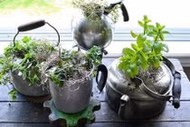 Muôn kiểu trồng rau siêu "bá đạo" cho nhà phố