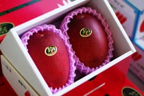 Điểm danh loạt xoài “độc dị” siêu hút khách Việt