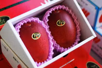 Điểm danh loạt xoài “độc dị” siêu hút khách Việt