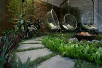 Lưu ý trong thiết kế sân vườn nhất định phải biết