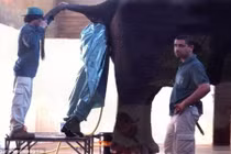 Không thể tin những nghề kiếm tiền kinh dị nhất thế giới 