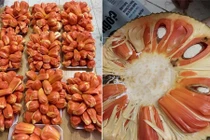 Siêu độc: mít ruột đỏ kỳ lạ khiến chị em “phát cuồng“