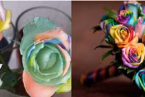 Hà Nội sốt xình xịch hoa hồng vĩnh cửu giá chát