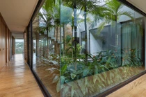 Đẹp mê hồn ngôi nhà “ôm trọn” cả rừng nhiệt đới mini