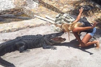 Tận mục công việc săn bắt cá sấu mưu sinh của gái trẻ xinh đẹp