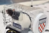 Phát hiện gây choáng từ việc dạy chuột... lái xe