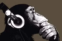 Choáng váng khả năng cảm thụ âm nhạc của tinh tinh