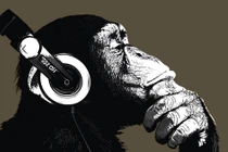 Choáng váng khả năng cảm thụ âm nhạc của tinh tinh