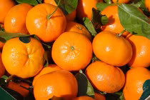 Cách chọn cam canh ăn ngày Tết ngon ngọt, không bị khô