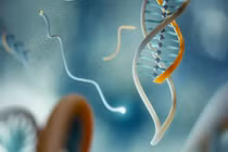 Các loại bệnh ung thư có tính di truyền cao