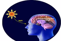 Ánh sáng ban đêm "tiếp tay" cho bệnh ung thư phát triển?